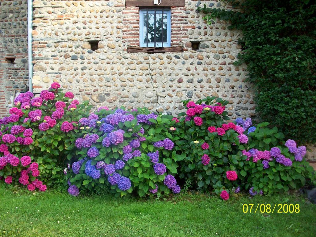 La Maison D'Anais Vic-en-Bigorre Dış mekan fotoğraf